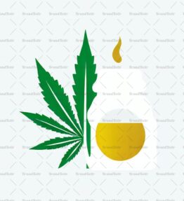 Cannabis Öl